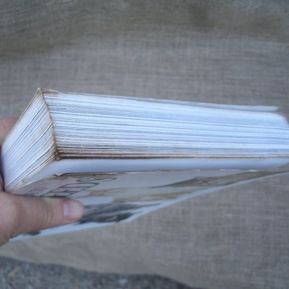 Ultimate Guide to Cat Breeds by Louisa Somerville - Picture 16 of 16